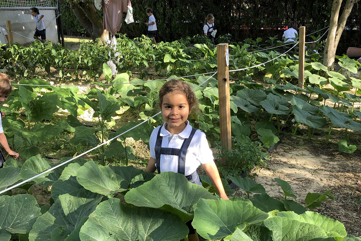 infantil-ciencia-tecnologia-yago-school-sevilla